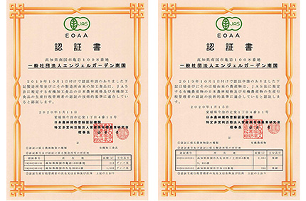 加工及び農産で有機JAS認定を受けました