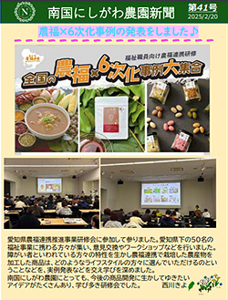 南国にしがわ農園新聞第41号