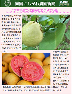 南国にしがわ農園新聞第48号