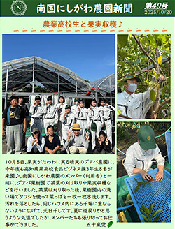 南国にしがわ農園新聞第49号