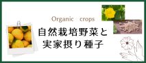 自然栽培野菜と自家採り種子
