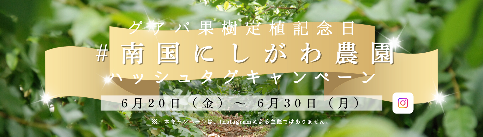 “ハッシュタグキャンペーン”