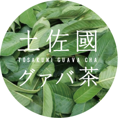 土佐國グァバ茶