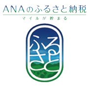 ANAのふるさと納税